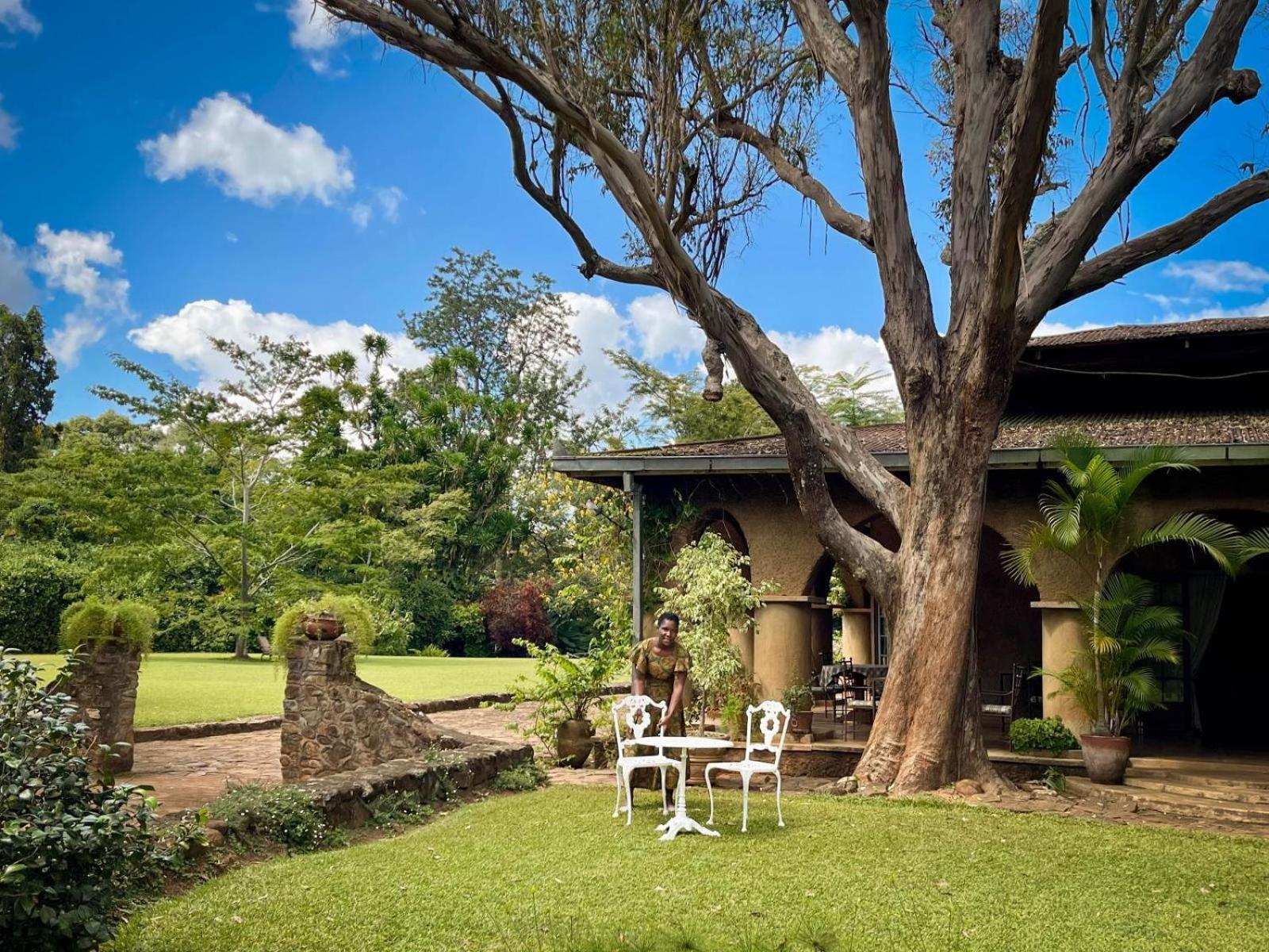 Huntingdon House And Chawani Bungalow Thyolo Luaran gambar
