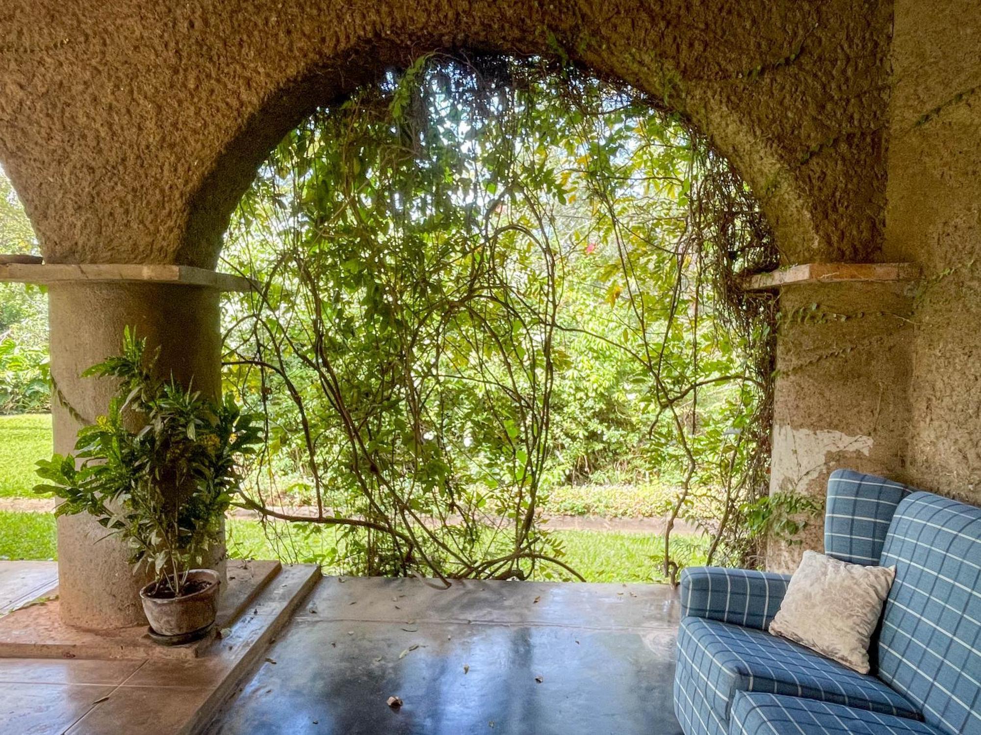 Huntingdon House And Chawani Bungalow Thyolo Luaran gambar