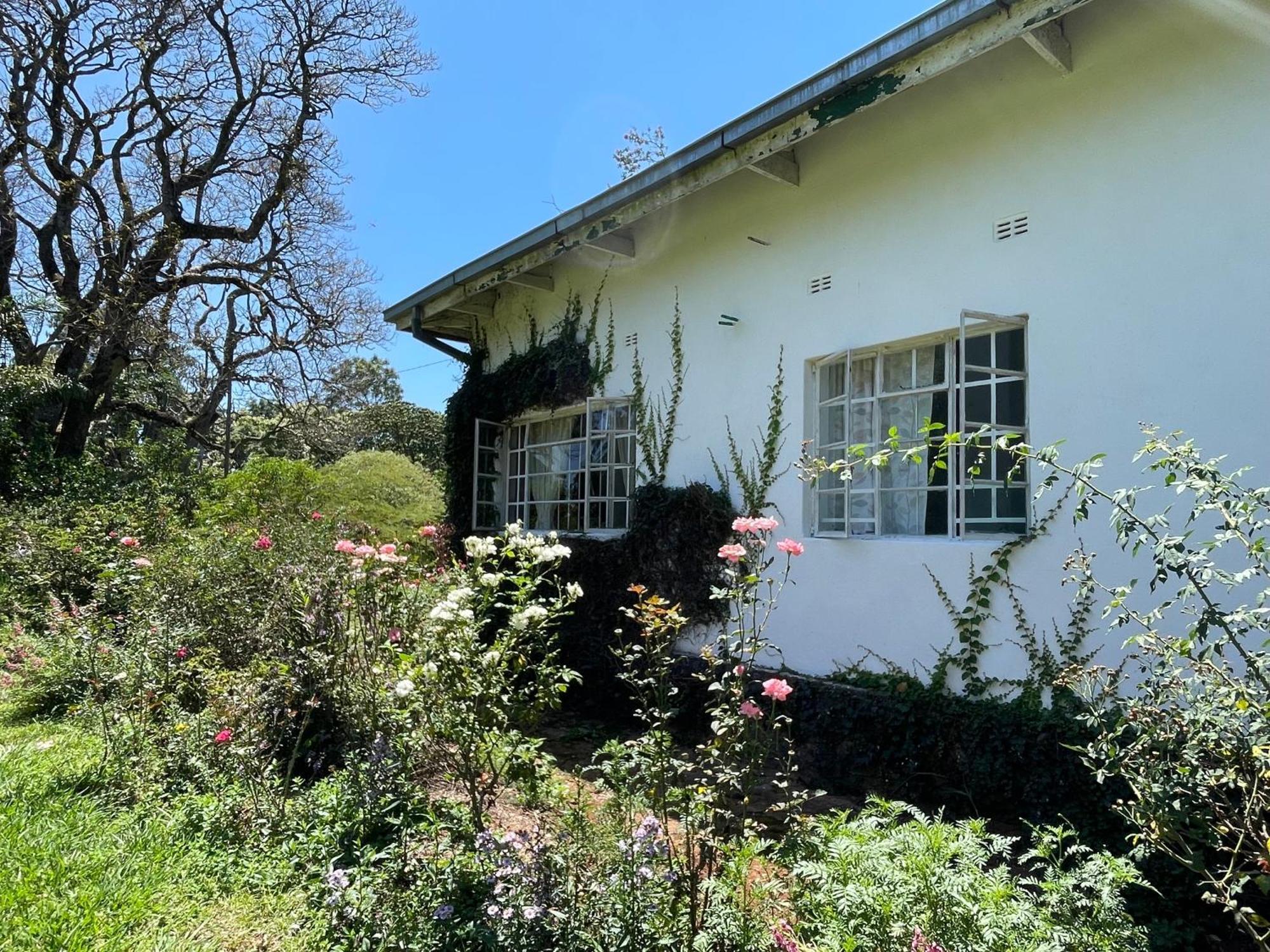 Huntingdon House And Chawani Bungalow Thyolo Luaran gambar